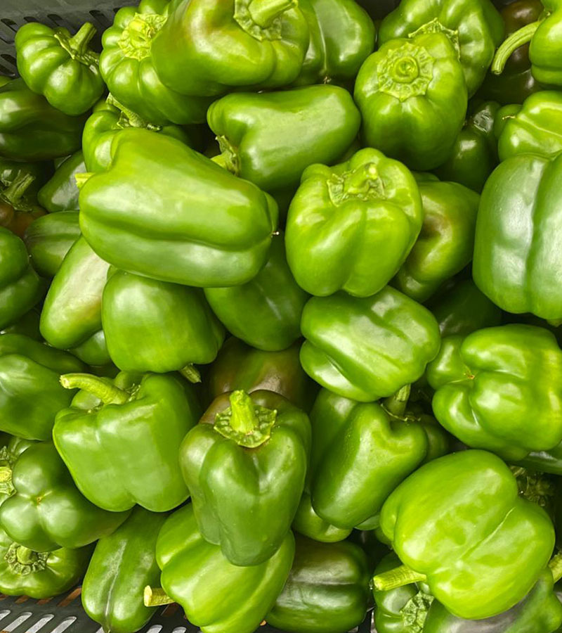 Don’s%20Agro%20Plantation