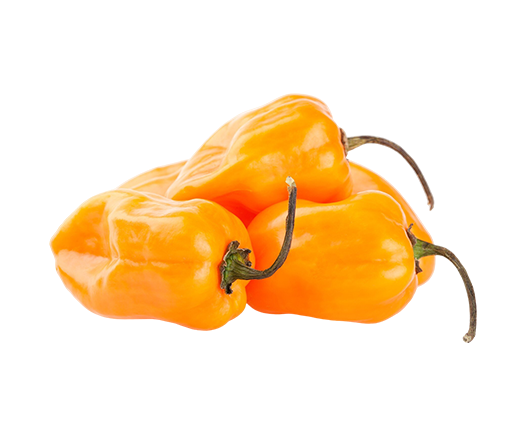 Don’s%20Agro%20Plantation