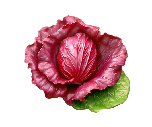 Don’s%20Agro%20Plantation