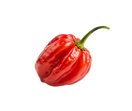 Don’s%20Agro%20Plantation