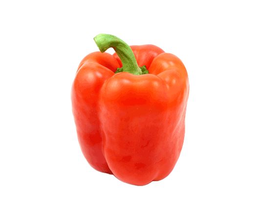 Don’s%20Agro%20Plantation