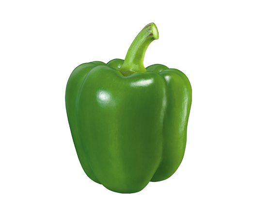 Don’s%20Agro%20Plantation