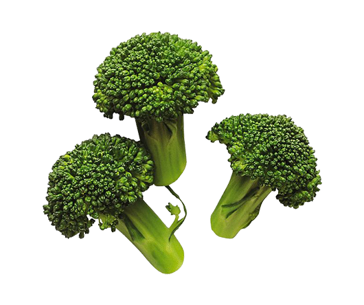 Don’s%20Agro%20Plantation