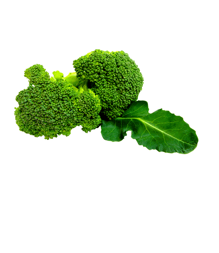 Don’s%20Agro%20Plantation